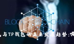 探讨小狐狸钱包与TP钱包的